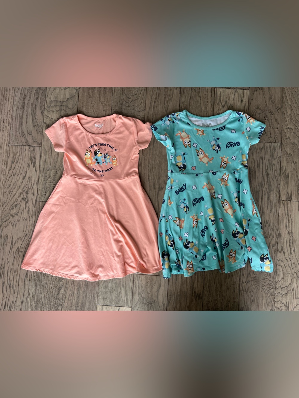 Bluey dresses 5t